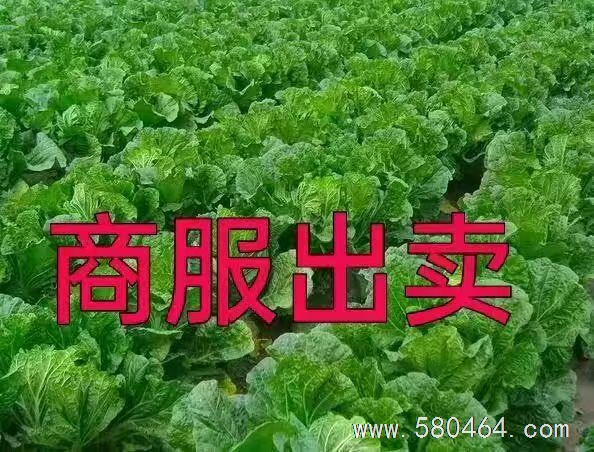 商服出卖
