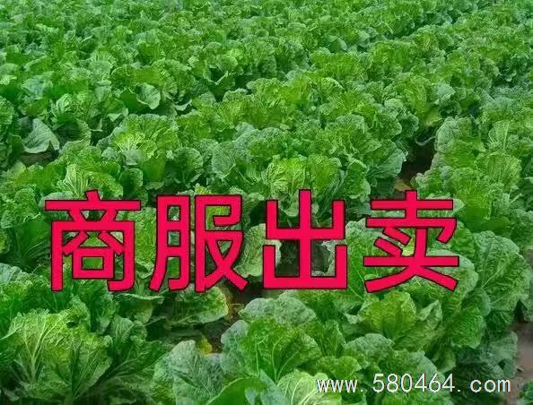 商服出卖